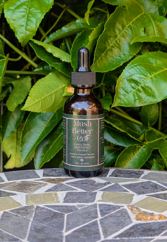 Lions Maine Dual Extract Tincture - Nature's Neuron Nectar