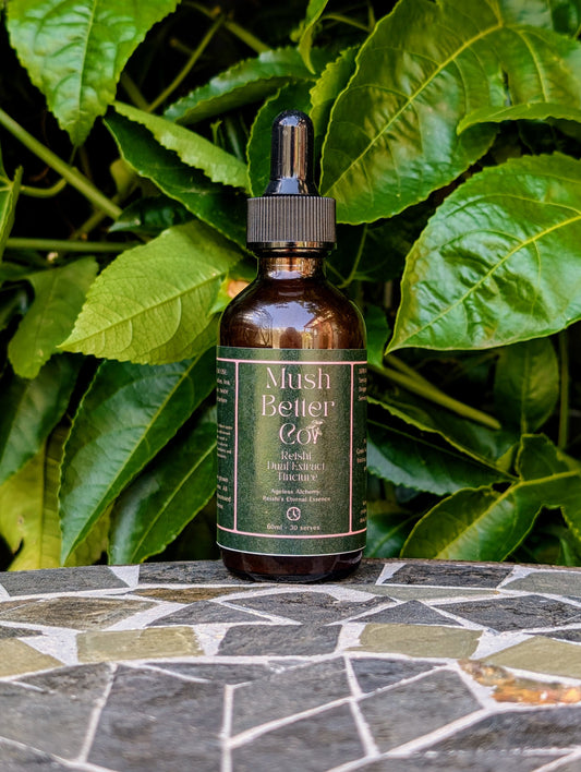 Reishi Dual Extract Tincture - Ageless Alchemy